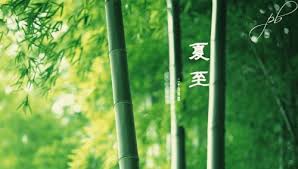 生命中有很多東西， 能忘掉的叫過去， 忘不掉的叫記憶， 我們跌跌撞撞的前行， 迎接每一個分岔路， 一路同行的人， 可能走著走著就往兩個. å…³äºŽå¤è‡³æ—¶èŠ‚çš„è¯—è¯ æ–‡åŒ– æˆ'çˆ±åŽ†å²ç½'