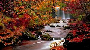 Automne Fond D Ecran Hd Automne Wallpapers Cascades Autumn Landscape Desktop Wallpaper Fall Autumn Scenery
