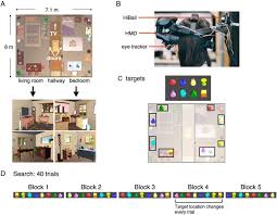 Guessing that we fell apart , i'm kicking all the sheets away. Memory Shapes Visual Search Strategies In Large Scale Environments Scientific Reports