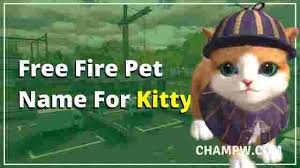 How to change free fire pet names? 500 Best Free Fire Pet Name You Should Not Miss In 2021