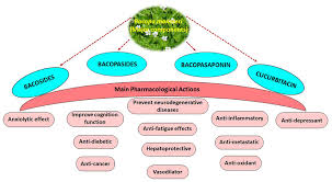 Image result for Bacopa monnieri