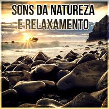 Agora, não precisamos ir até os limites profundos da natureza para ouvir essas gravações. Musica De Yoga Relaxamento Sons Da Natureza E Relaxamento Meditacao Bem Estar E Musicas Para Relaxar Yoga Reiki Sono Zen Massagem E Estudam Sons De C Letras Y Canciones Deezer