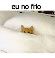 Jun 07, 2021 · seis cervejas artesanais mineiras ideais para degustar no tempo frio. Eu No Frio Meme On Me Me