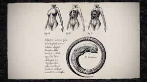 The egg is thick and gelatinous, usually with several membranes attached to the outer layers. Original Eggs On The Derelict Elizabeth And The Drawings By David Alien Covenant Forum