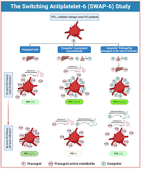 Image result for Cangrelor