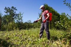 Or are you planning to go all green for pest control in your garden? History Of Pest Control Omaha Pest Control