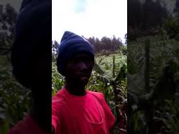 Chid benzi ame free style kwa dakika 10 za maangamizi ndani ya planet bongo ya east africa radio bila kuchoka na kutoa. Coyo Mc