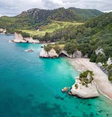 These run the gamut from surfing hot spots to quiet sheltered lagoons. Hahei Beach New Zealand Dashleyworldtour Haheibeach Beach Ocean Newzealand N New Zealand Beach Most Beautiful Beaches New Zealand Travel