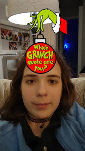 Max and Grinch Filter