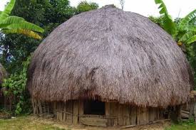 Keunikan Rumah Adat Papua Beserta Dengan 4 Faktanya