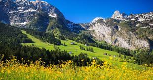 Passer Des Vacances En Montagne En Ete Ou Partir Vacances Montagne Vacances Montagne Ete Paysage Montagne