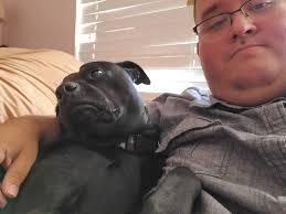 Will my wife notice the two mounted pictures?