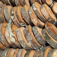 Image result for Lintonia nutans