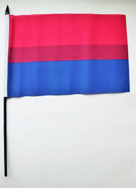 Lesbian, gay, bisexual, and transgender flag. Medium Bi Pride Flag 15 X 22 Cm On Stick