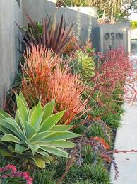 43 Gorgeous Cactus To Grow Ideas For Your Garden Succulent Landscape Design Landscaping With Rocks Succulent Landscaping