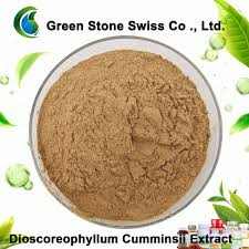 Image result for Dioscoreophyllum