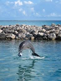 Pin By Janet Noble On Places I Love Bahamas Vacation Places To Go Places To Travel