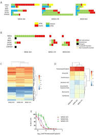 Patient Derived Malignant Pleural Mesothelioma Cell Cultures A Tool To Advance Biomarker Driven Treatments Thorax