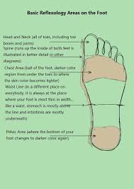 lateral reflexology blank template google search