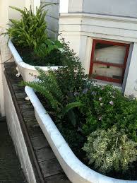 Bathtub Plants Garden Bathtub Plants Garden Tub