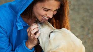 How Animals Are Like People