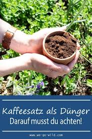 Kaffeesatz Als Dunger Fur Garten Und Topfpflanzen We Go Wild In 2020 Topfpflanzen Pflanzen Kaffeesatz