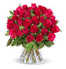50 rote rosen und mehr. 50 Rote Rosen Online Bestellen Blumeideal De