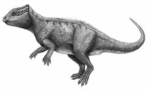 Learn how dinosaurs get their names: Dino Directory Name A Z Dinosaurs Beginning With The Letter Y Natural History Museum