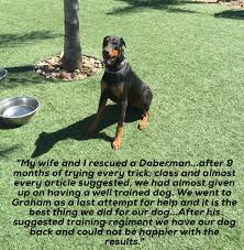 The standard basic puppy training obedience commands to be taught will be as follows, all commands will. Questions About Dog Boot Camp We Have Answers Specialty Dog Training
