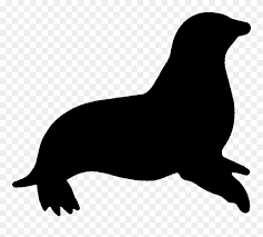 Download Hd Leopard Seal Clipart Animated Sea Lion Silhouette Png Transparent Png And Use The Free Clipart For Your Cre In 2020 Lion Silhouette Leopard Seal Sea Lion Download the silhouette in eps, jpg, pdf, png, and svg formats. sea lion silhouette png transparent png