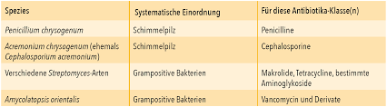 Https Www Vci De Fonds Downloads Fonds Unterrichtsmaterialien 2017 09 Unterrichtsmaterial Antibiotika Tabellen Pdf