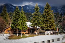 Predeal este un oras de mici dimensiuni (cu o populatie de 4755 locuitori in anul 2011) situat pe valea raului prahova, in sudul judetului brasov, chiar la granita cu judetul prahova si este inconjurat de catre masivul. AtracÈ›ii Turistice In Predeal Trasee Montane ActivitÄƒÈ›i PlÄƒcute