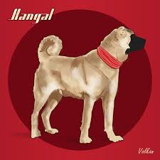 Kangal Dog Kangal Dog Animals Dogs