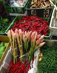 Check spelling or type a new query. Bunga Kecombrang Si Merah Cantik Yang Kaya Manfaat