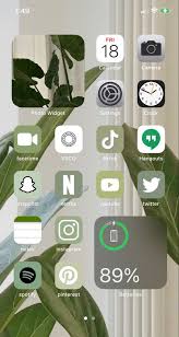 Pinterest Evelyn In 2020 Homescreen Facetime Spotify