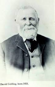 David Golding (1830-1903)
