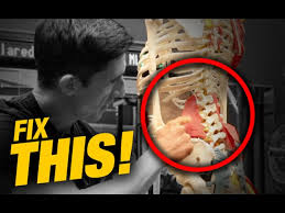 Check spelling or type a new query. Quadratus Lumborum Stretch Do S And Don Ts Youtube