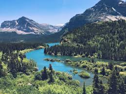 This article contains information on the frontcountry camping experiences that are available within glacier national park. Fish Creek Campground Glacier Mt 8 Hipcamper Reviews And 34 Photos