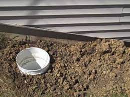 Neat, clean, convenient way to dispose of pet waste. Dog Septic System Youtube