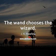 It was like i was on top of the world—like as long as i had this wand, nothing could stop me. The Wand Chooses The Wizard Idlehearts