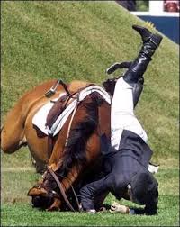 Kucıng & anjıng kawın sılang. Equestrian Masviona S Blog Halaman 2