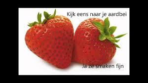Fruitlied Aardbeien Gezond Voeding
