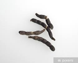 Image result for Xylopia aethiopica