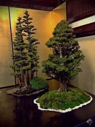 Gardening Centers Winnipeg Uk Directory Phone Numbers Gardening Helpers Incorporated Gardening Jobs In Scotland With Bonsai Tree Bonsai Forest Bonsai Art