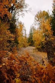 This is a low maintenance property with rock landscaping and a concrete driveway. Autumn In Salmon Arm Bc Sarah Wayte