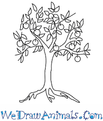 Start by drawing the roots. How To Draw An Orange Tree