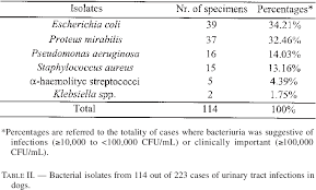 Pdf Survey On Bacterial Isolates From Dogs With Uri Nary Tract Infections And Their In Vitro Sensitivity Semantic Scholar