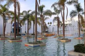 Image result for Syagrus romanzoffiana