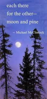 Haiku Poem Each There By Michael Mcclintock Haiku Poems Haiku Poetry Haiku