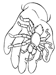 Spiderman is a popular character in comics, films and cartoons. Free Printable Spider Coloring Pages For Kids
